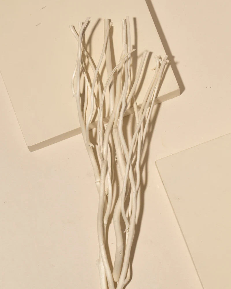 WILLOW REEDS – Earthy-Marpé
